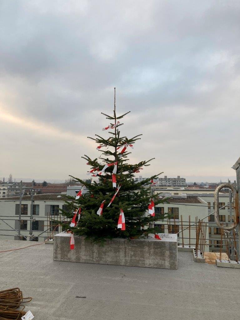 WF_BS2_BB005_%20%286%29%20%28002%29